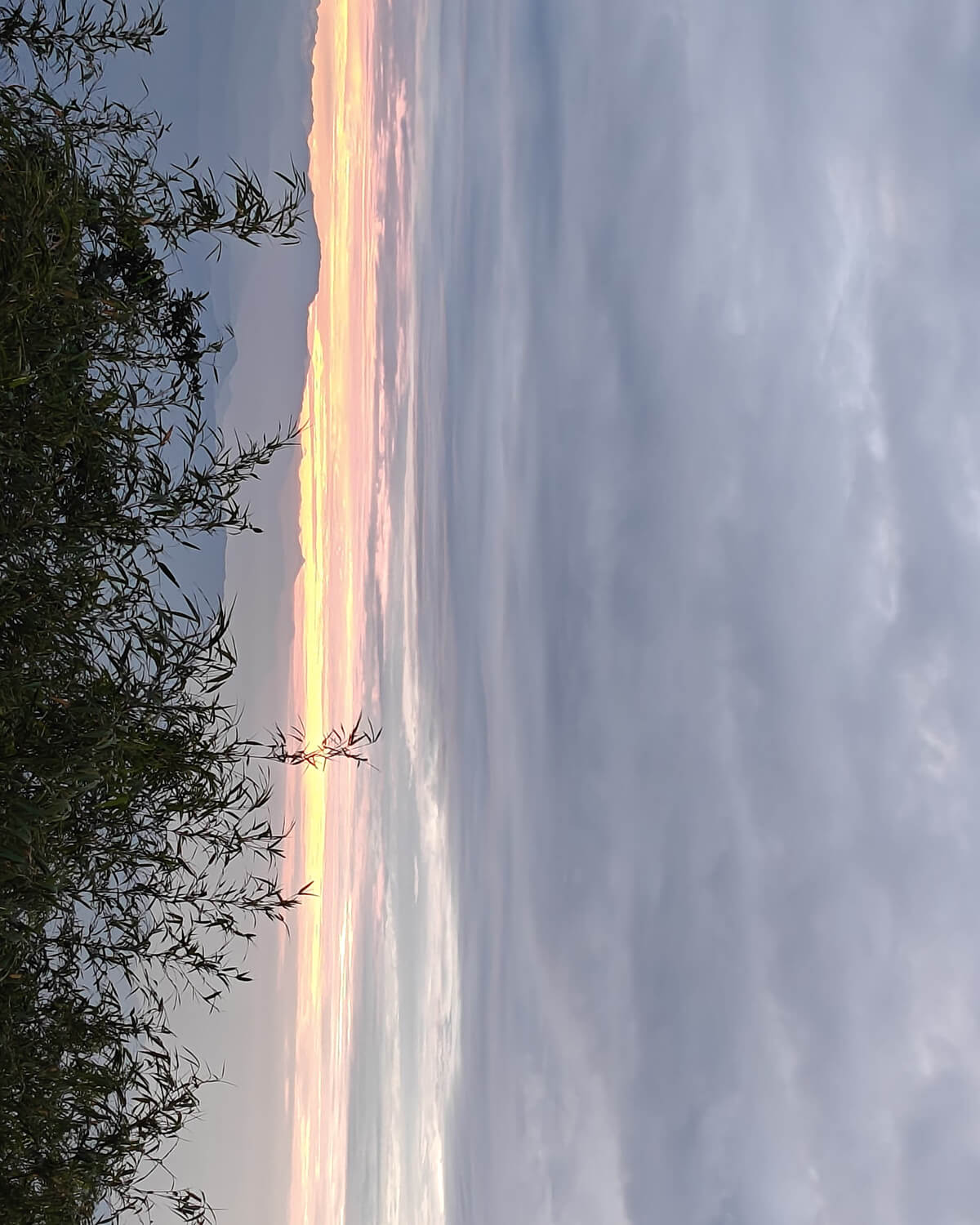 travirots Darjeeling & Gangtok Family Tour Package